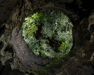  Durch uralte Schächte geht es hinab in das Innere des Lavastromes © Marc Hillesheim, Olaf Kaul