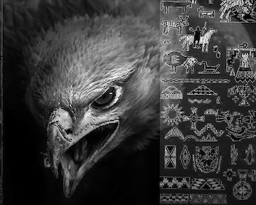  Mondsprung 1 © Frauke Stärk