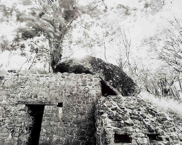 Hartmannswillerkopf #03 © Tobias D. Kern