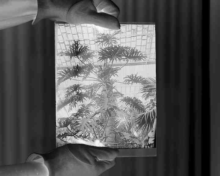 Temporary Palaces © Stefanie Pluta