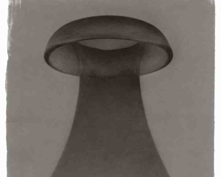 WMF Vase 2021 * Platinum Print auf Kozo Papier und Wachs © Gregor Törzs