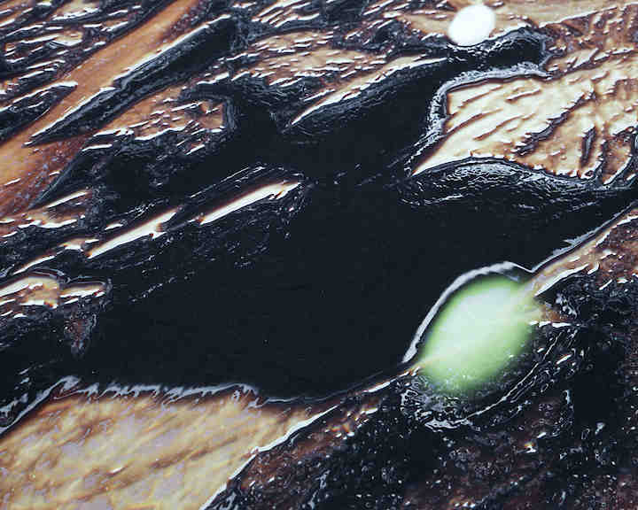 Lito Kattou, San Point Centre for Contemporary Art, 2018. Skins Feathers VIII, 2018. Detail Photo © Nikos Alexopoulos