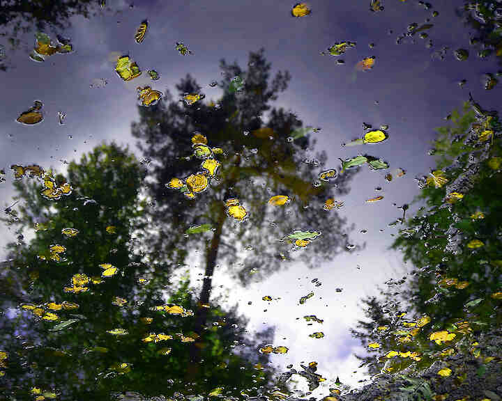 aus der Serie: "Wasserspiele Studie", Fine Art Print, Hahnemühle Archival Photo Rag, 2025 © Michael Hooymann