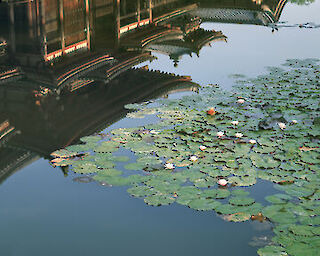 Byôdôin-Tempel, Kyoto © Miyoshi Kazuyoshi  