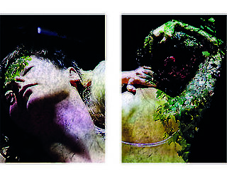 IVY TOUCH - Freya Hattenberger, Fine Art Inkjetprint auf Canson Platine Fibre Rag Je 50 x 35 cm  © Freya Hattenberger