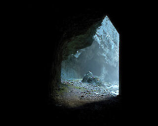  aus der Serie Third Nature © Jan Stradtmann