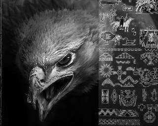 Mondsprung 1  © Frauke Stärk Mondsprung 1 © Frauke Stärk