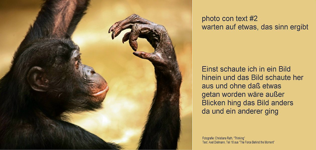  - Fotografie: Thinking © Christiane Rath / Text: The Force Behind the Moment © Axel Dielmann - 