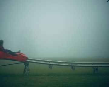 Im Nebel © susebee