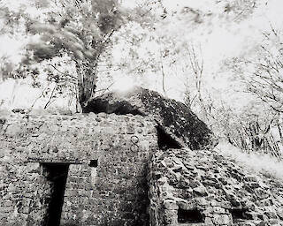 Hartmannswillerkopf #03 © Tobias D. Kern