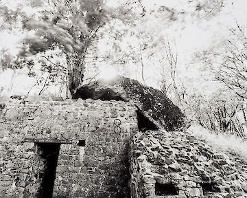 Hartmannswillerkopf #03 © Tobias D. Kern