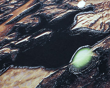 Lito Kattou, San Point Centre for Contemporary Art, 2018. Skins Feathers VIII, 2018. Detail Photo © Nikos Alexopoulos