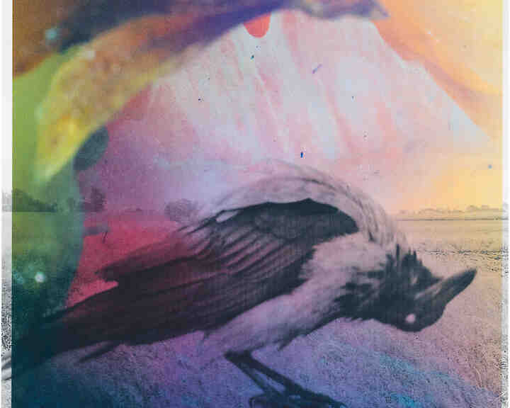 From "A Magnificient Failure" by Stephen Gill (Nobody Books 2024) © Stephen Gill