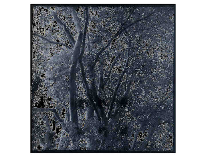 "Gartendämmerung", 2024, negativ 4x4, af seit 1995 überlagertem Rollfim 127 © Jürgen Königs