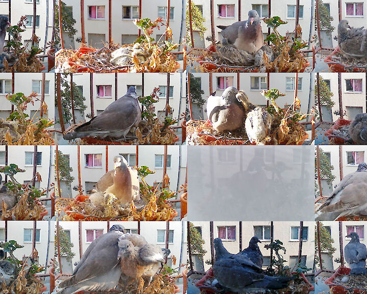  Growth, 2025 © Marta Bogdańska