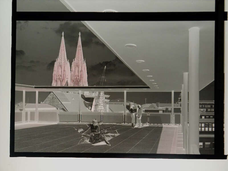 Karl Hugo Schmölz, Negativ 18 x 24 cm mit Neu-Coccin-Retusche