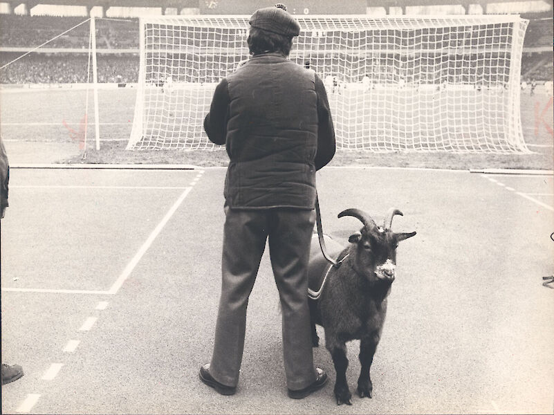 Brigitte Stachowski, Geißbock Hennes im Stadion (Bestand Kölnische Rundschau)