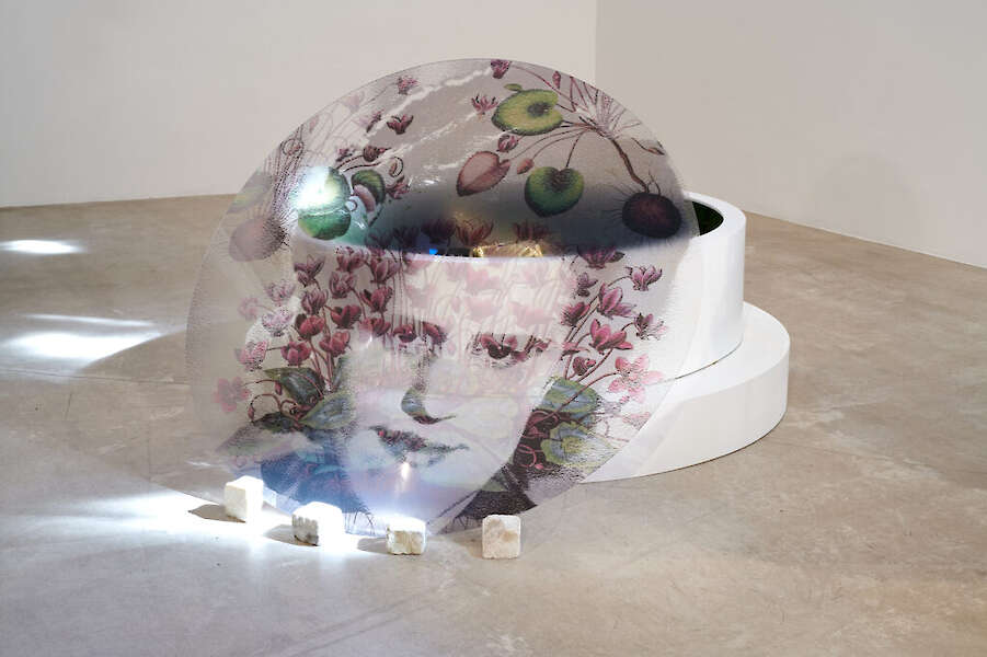 B.D. *** MEMORIAL FOR *** E.S. / 2020, artothek Köln, THE COFFIN